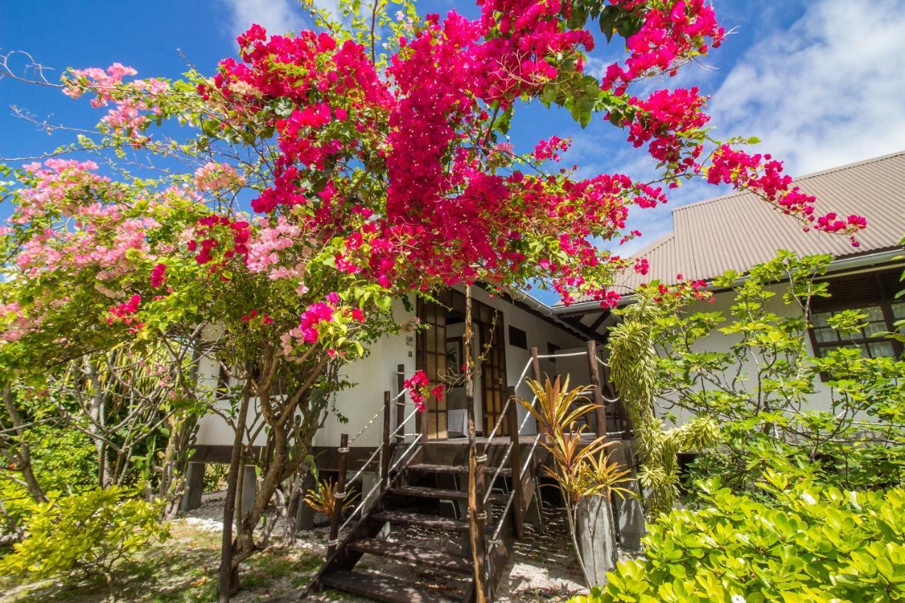 Le Coconut Lodge Avatoru Zewnętrze zdjęcie